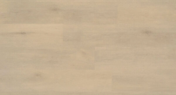 DECO54 COLLECTION (LIGHT DECO) - Image 2